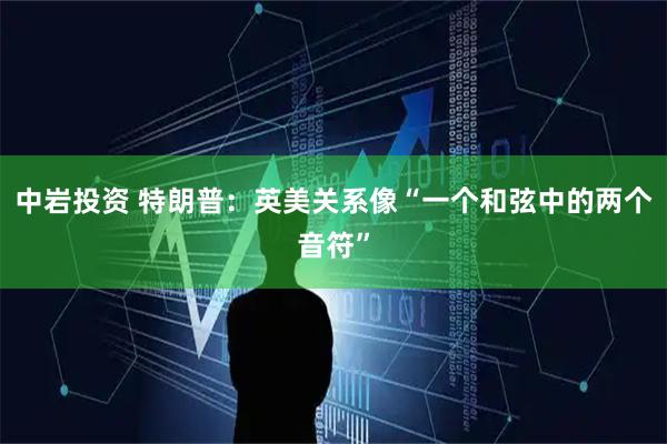 中岩投资 特朗普：英美关系像“一个和弦中的两个音符”