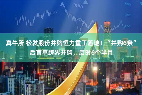 真牛所 松发股份并购恒力重工落地！“并购6条”后首单跨界并购，历时6个半月
