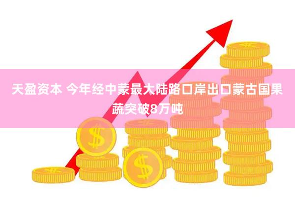 天盈资本 今年经中蒙最大陆路口岸出口蒙古国果蔬突破8万吨