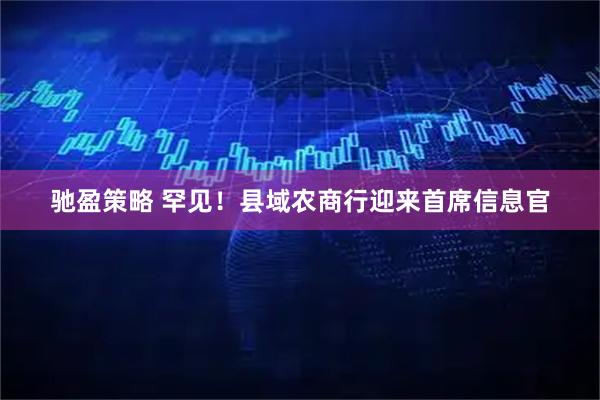 驰盈策略 罕见！县域农商行迎来首席信息官