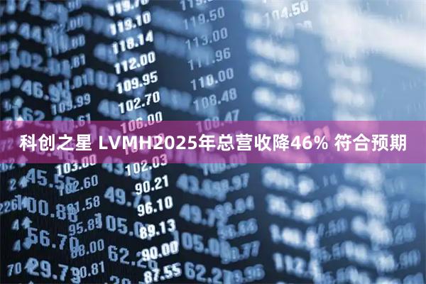 科创之星 LVMH2025年总营收降46% 符合预期