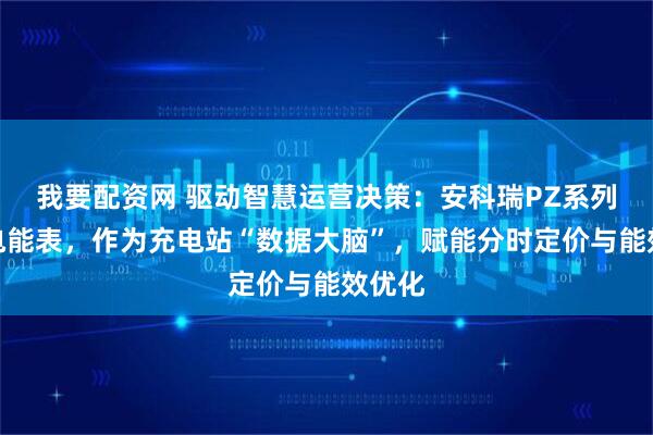 我要配资网 驱动智慧运营决策：安科瑞PZ系列直流电能表，作为充电站“数据大脑”，赋能分时定价与能效优化