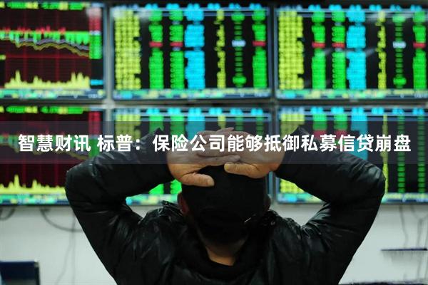 智慧财讯 标普:保险公司能够抵御私募信贷崩盘